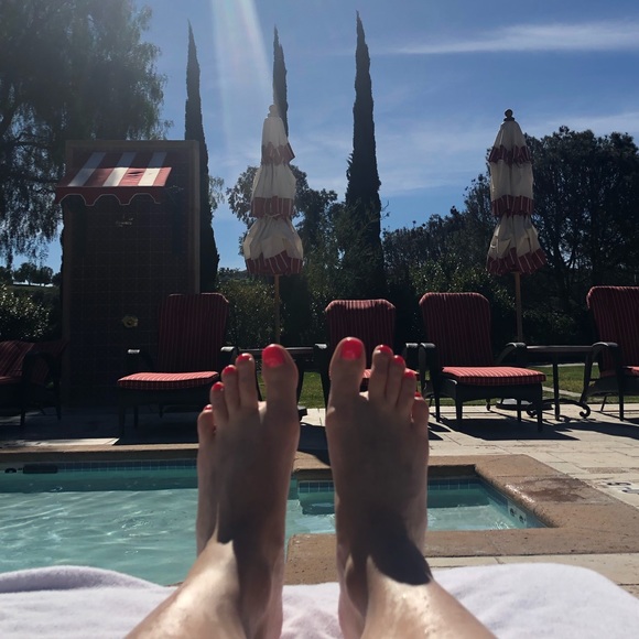 Meet your Posher, Sylvia - Picture 1 of 1